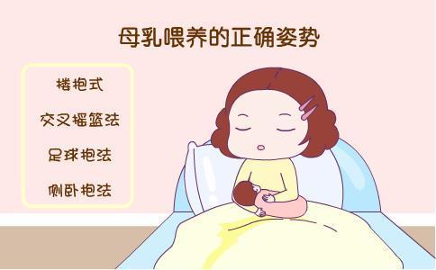 全自动91视频H免费版简述开始喂哺母乳前喂哺须知