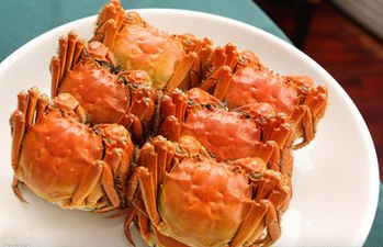 超声91视频H免费版在哺乳期内的妈妈能够吃螃蟹吗 超声91视频H免费版在哺乳期内的妈妈能够吃螃蟹吗